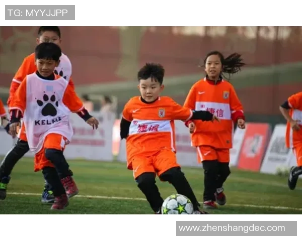 三水足球基地助力青少年成长打造足球梦想的摇篮与希望之地